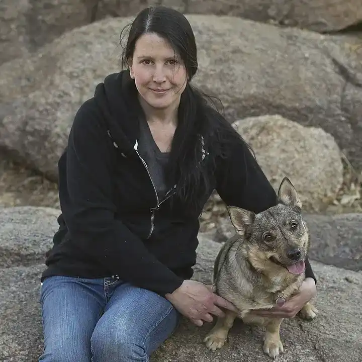Swedish Vallhund photo